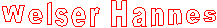 Welser Hannes